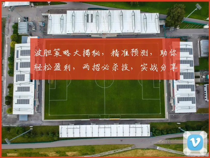 波胆策略大揭秘，精准预测，助你轻松盈利，两招必杀技，实战分享