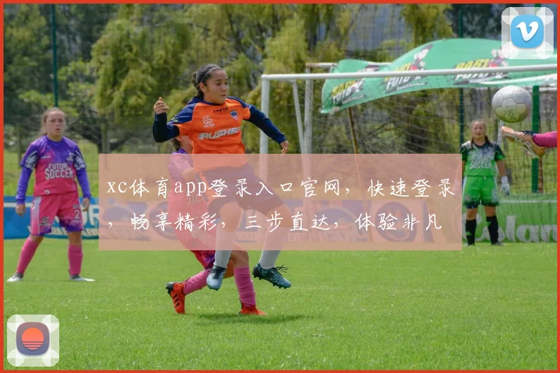 xc体育app登录入口官网，快速登录，畅享精彩，三步直达，体验非凡，尽在官网