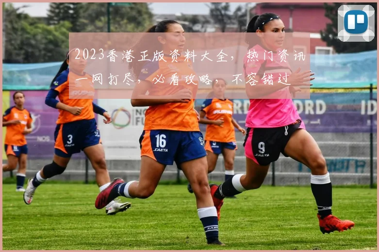 2023香港正版资料大全，热门资讯一网打尽，必看攻略，不容错过
