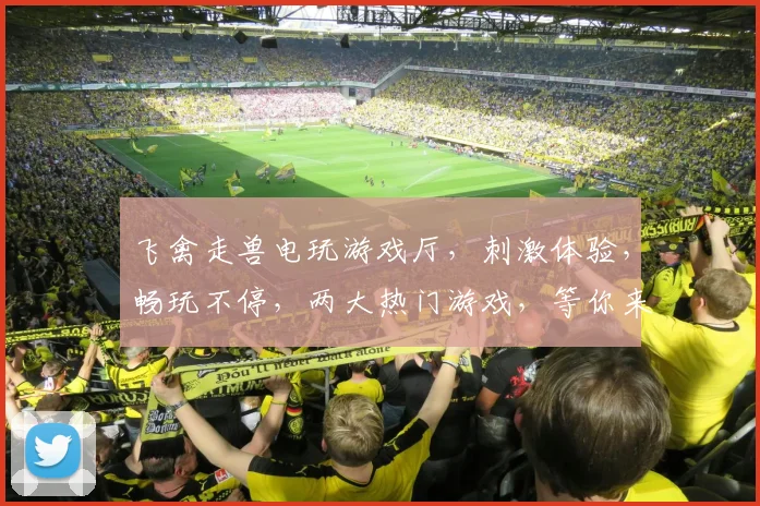 飞禽走兽电玩游戏厅，刺激体验，畅玩不停，两大热门游戏，等你来挑战