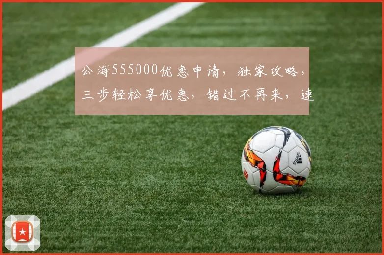公海555000优惠申请，独家攻略，三步轻松享优惠，错过不再来，速来体验