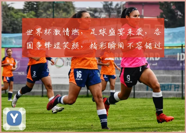 世界杯激情燃，足球盛宴来袭，各国争锋逗笑颜，精彩瞬间不容错过，共赏足球盛宴