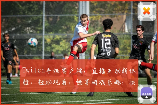 Twitch手机客户端，直播互动新体验，轻松观看，畅享游戏乐趣，快来下载